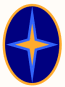 Northern Star Realty star logo